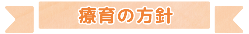 療育の方針 児童発達支援・放課後等デイサービス あぜがみトイロ